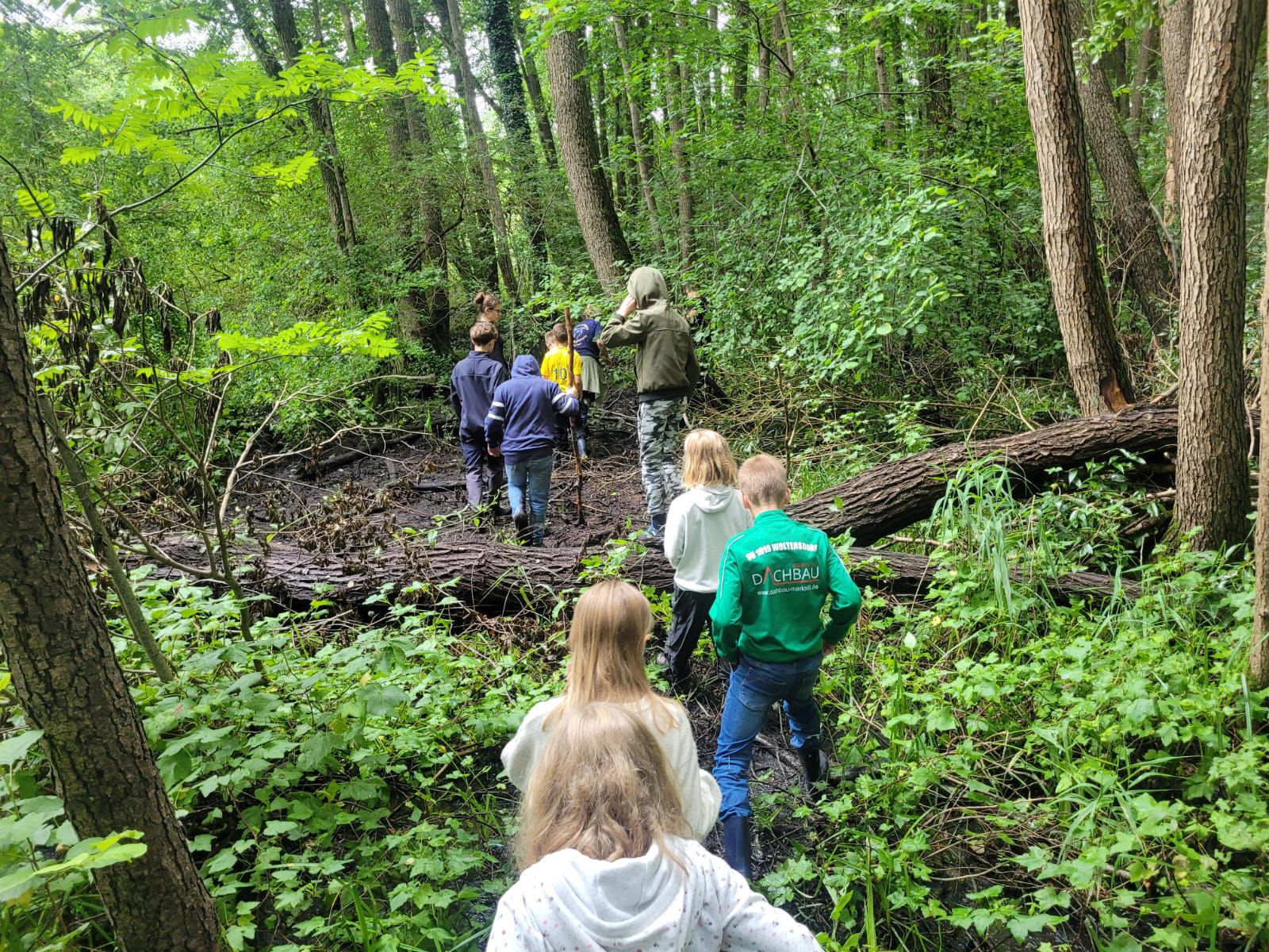 Eine Gruppe von Kindern, von hinten sehend, die durch den Wald hintereinander her laufen