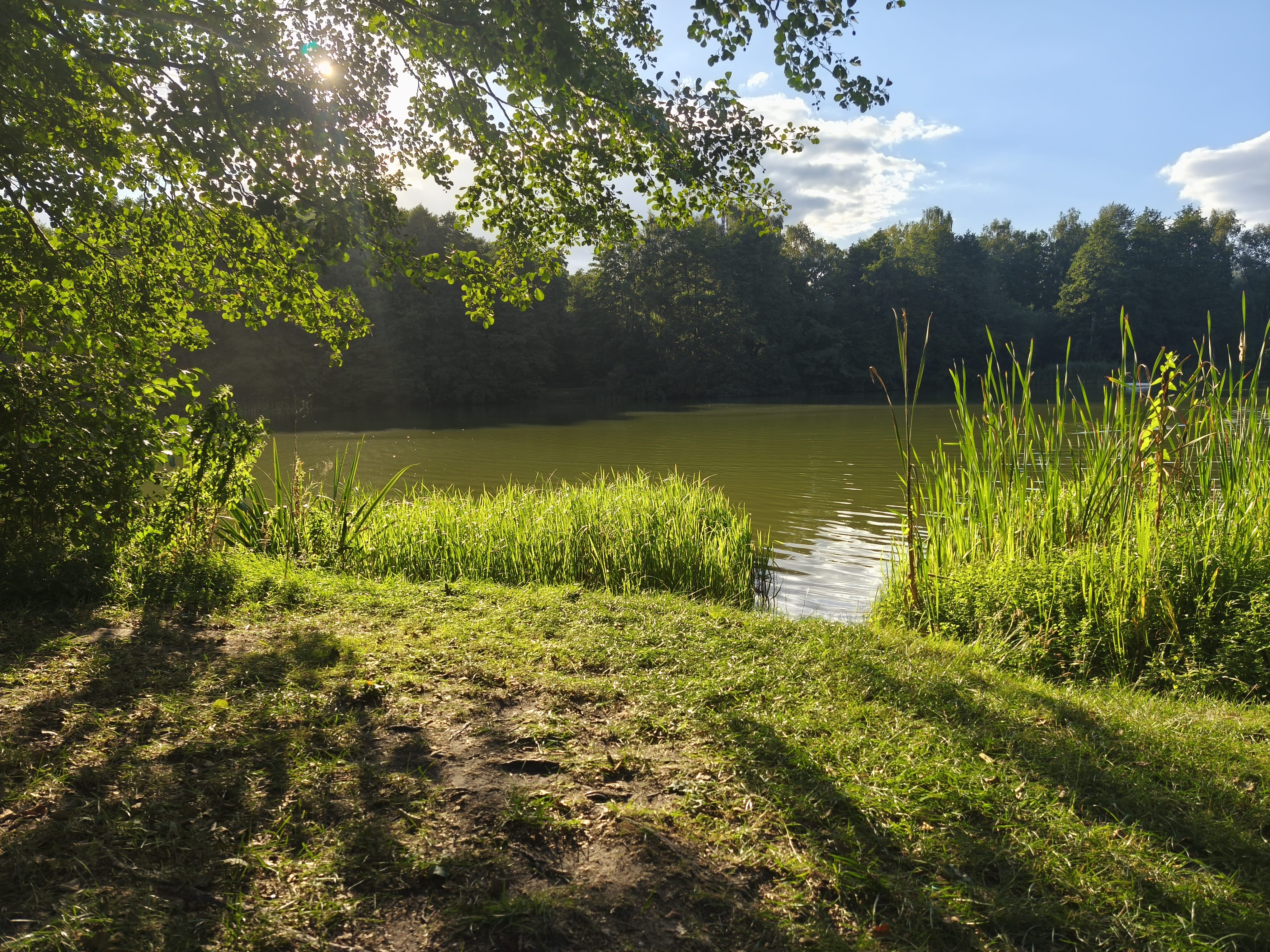grüne Wiese mit Blick auf einen See